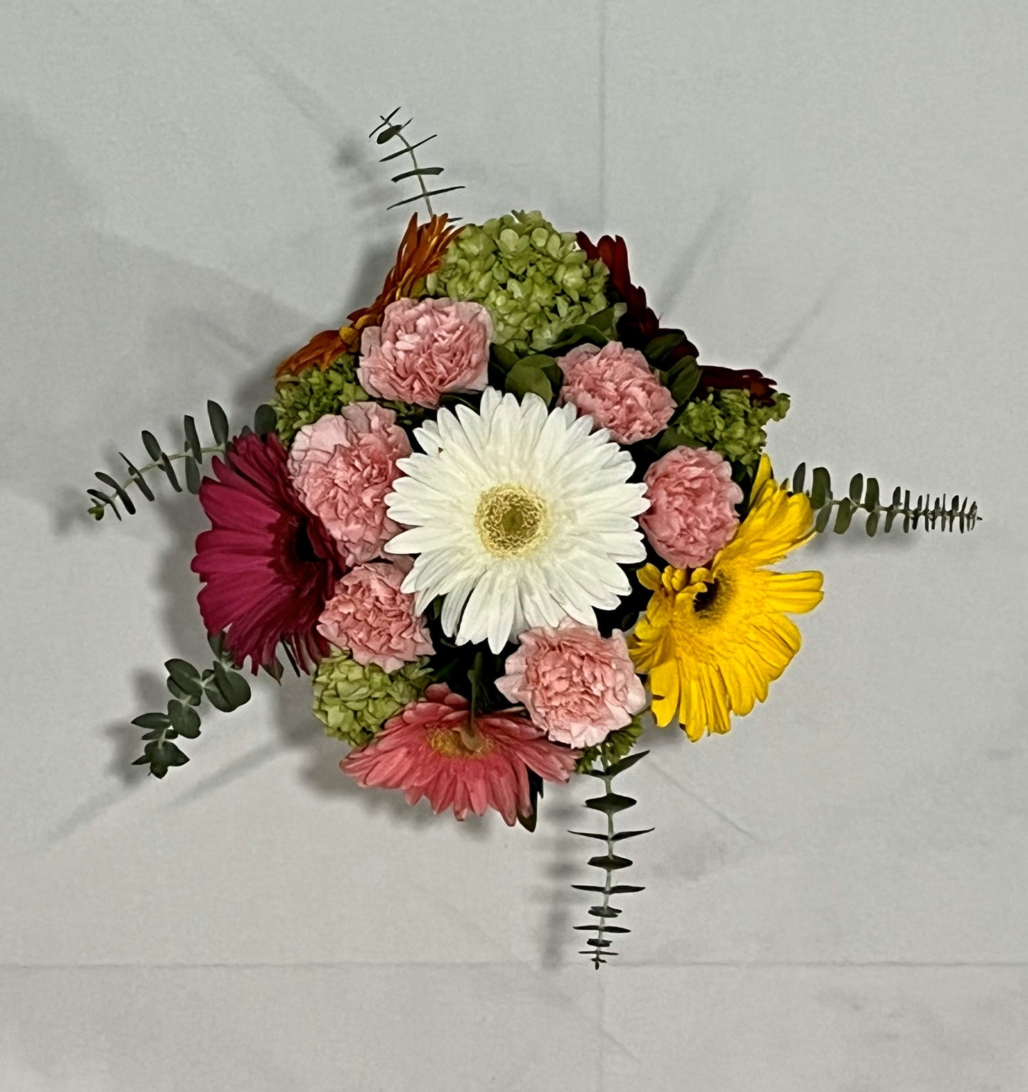 Gerberas Multicolor