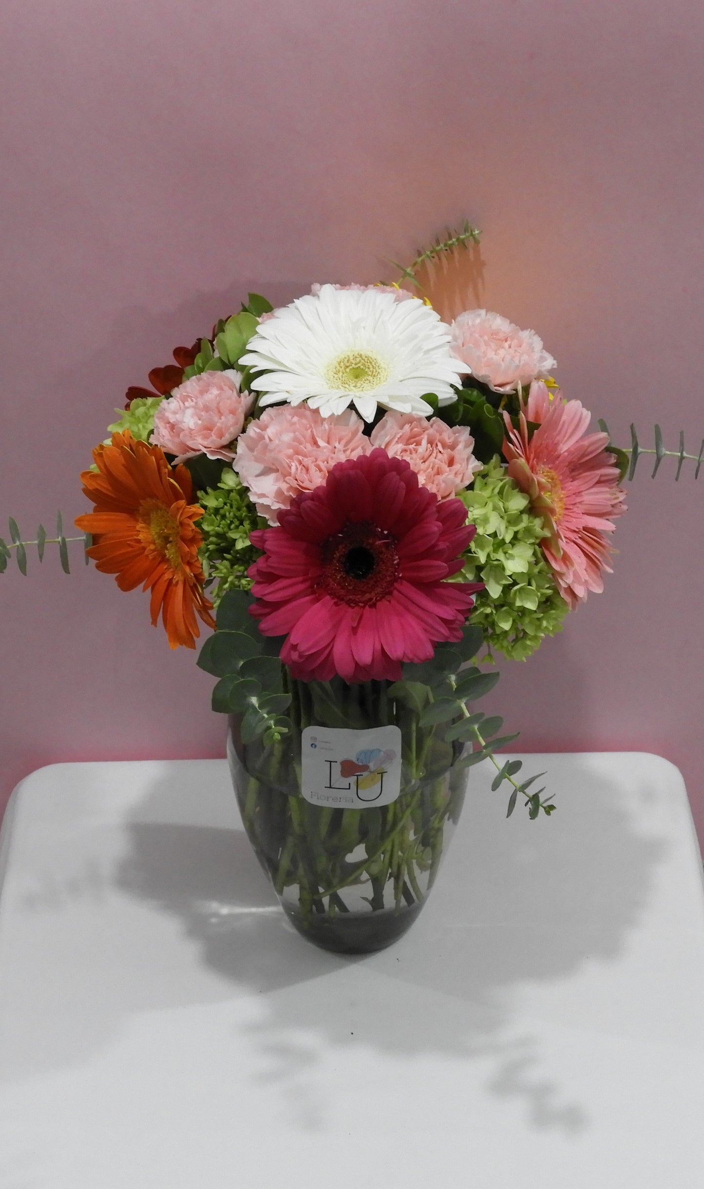 Gerberas Multicolor