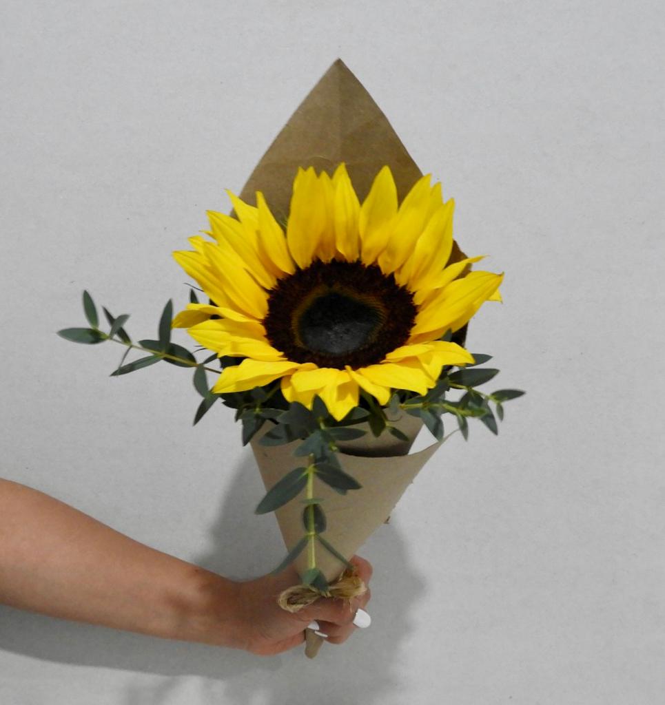 Destello de Amor