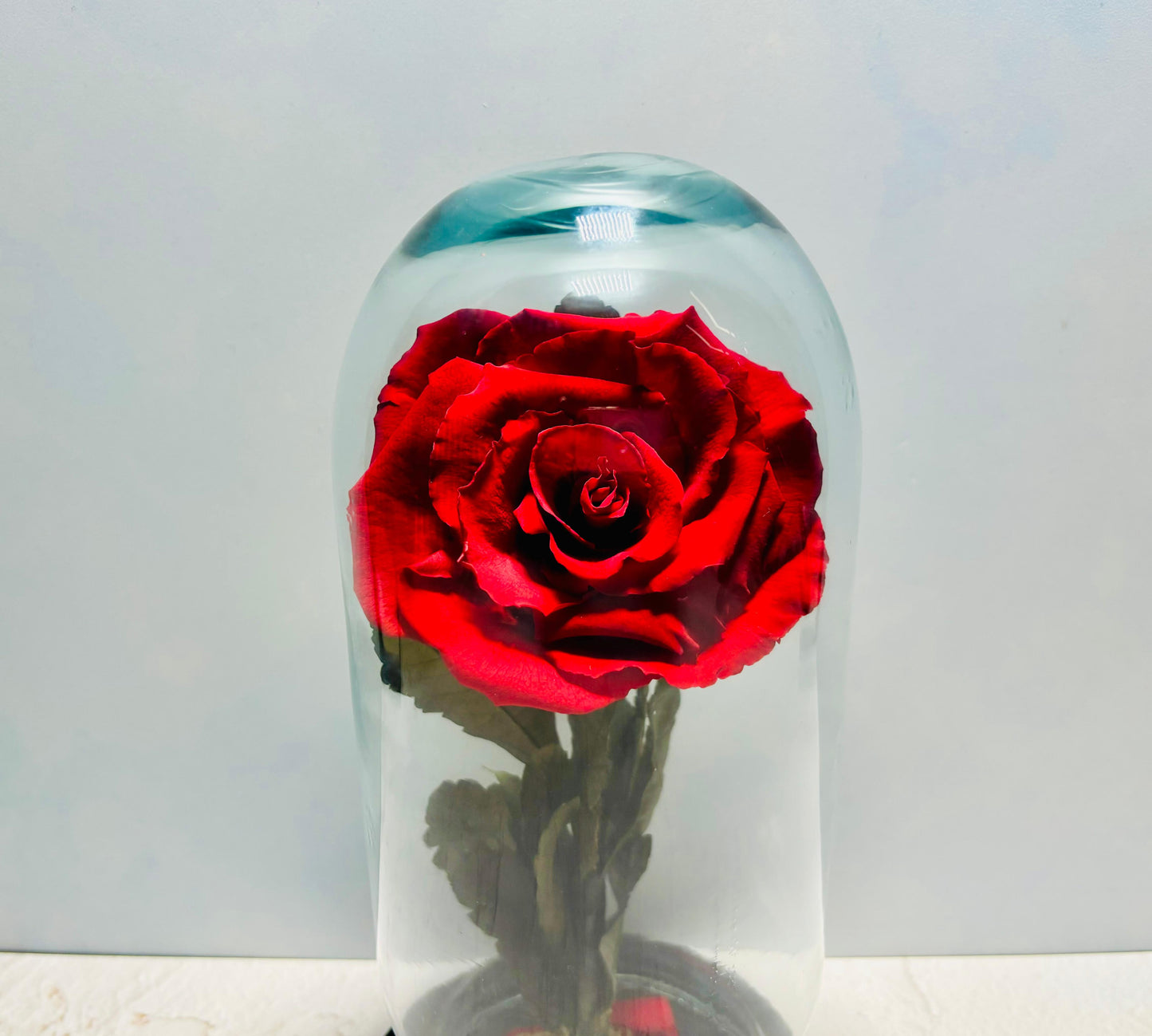 Rosa eterna