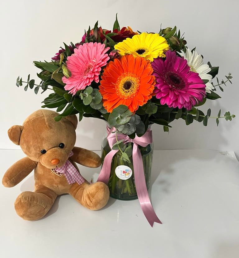 Arreglo gerberas multicolor + oso de peluche