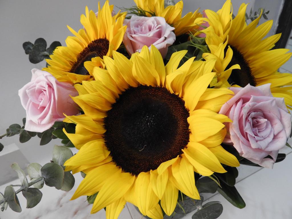 Arreglo girasoles rosas rosadas